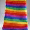 Rainbow Bandana