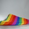 Rainbow Bandana