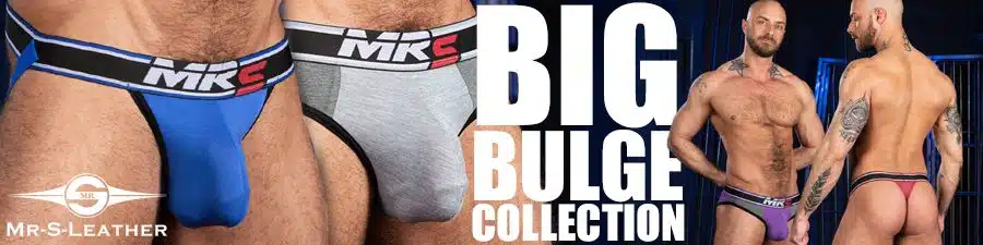 Mr S Big Bulge banner