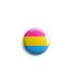 Button Small Pansexual Flag