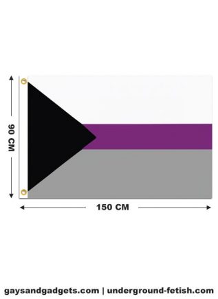 Flag Demisexual Pride Printed 90 x 150 cm