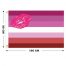Flag Lipstick Lesbian Pride Printed 90 x 150 cm
