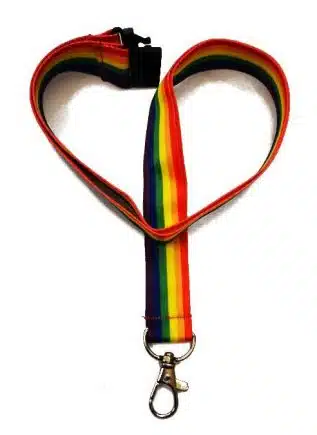 Rainbow Lanyard with Hook