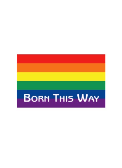 Pride Sticker Born This Way Rainbow Flag