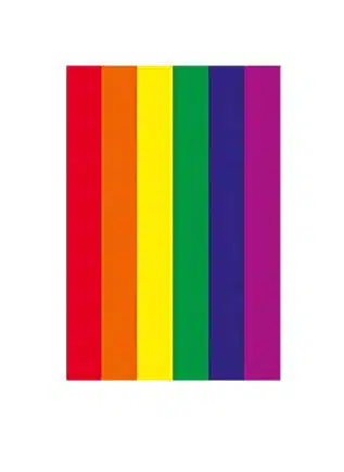 Dean Morris Magnet Rainbow Flag