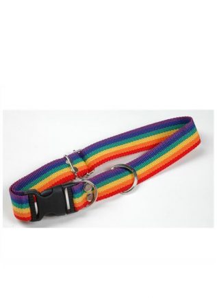 Pet Pride Collar Rainbow Large