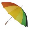 Rainbow Umbrella