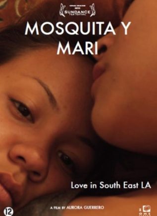 Artifilm DVD Mosquita y Mari