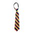 Rainbow Tie with Zipper
