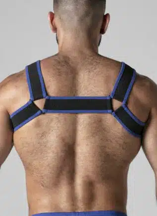 Locker Gear Mesh Chest Harness Blue Small
