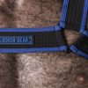 Locker Gear Mesh Chest Harness Blue Small