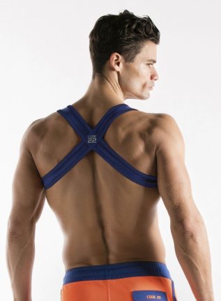 CODE 22 Sport Harness Blue Small