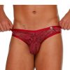 Gigo Lace Brief Bordeaux