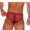 Gigo Lace Brief Bordeaux