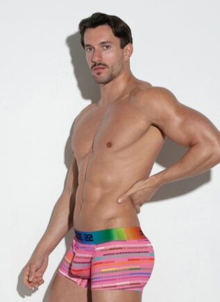 CODE 22 Pride Mesh Trunk