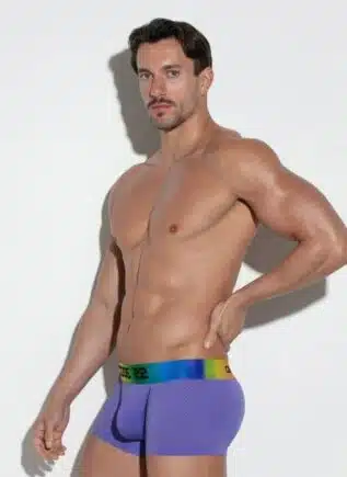 CODE 22 Pride Mesh Trunk