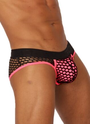 Gigo Fresh Brief
