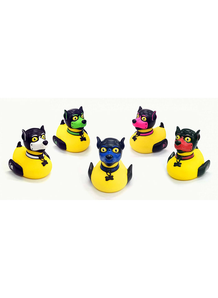 SchwuZ Puppy Duck Blue