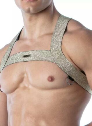 ToF Magc H Harness