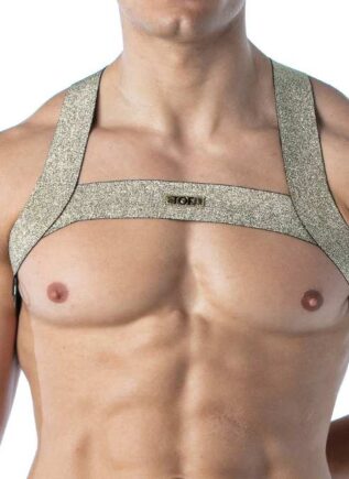 ToF Magc H Harness