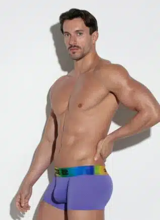 CODE 22 Pride Mesh Trunk