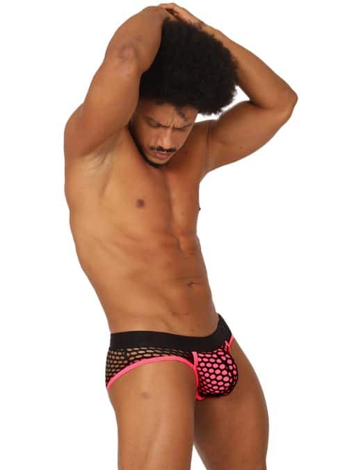 Gigo Fresh Brief