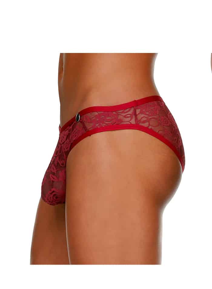 Gigo Lace Brief Bordeaux