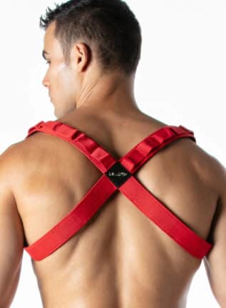 Leader Combat Harness Red