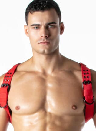 Leader Combat Harness Red