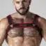 Locker Gear Mesh Chest Harness Red