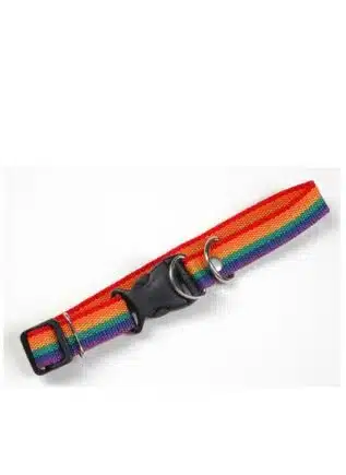Pet Pride Collar Rainbow Medium