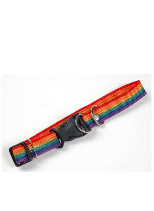 Pet Pride Collar Rainbow Medium