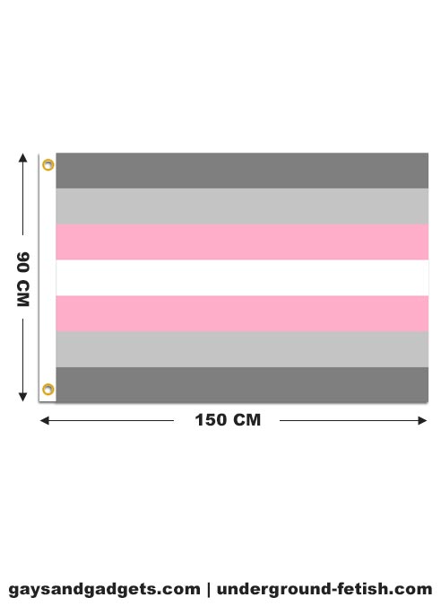 Demigirl Pride Flag Printed 90 x 150 cm