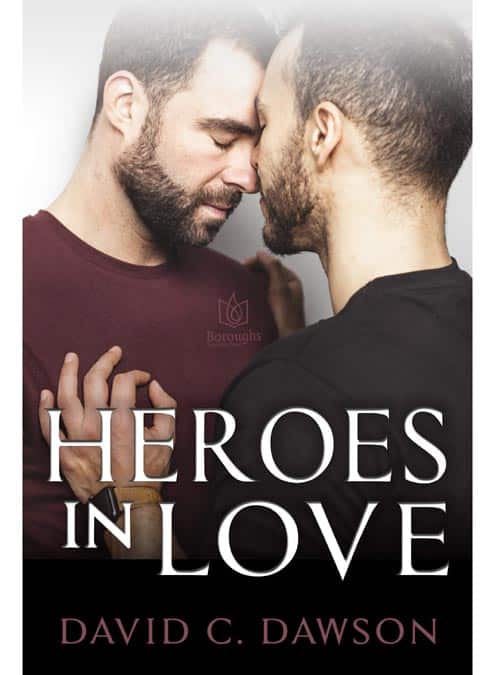 Heroes in Love - David C. Dawson