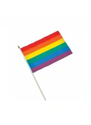 Hand Flag Rainbow Large 30 x 45 cm