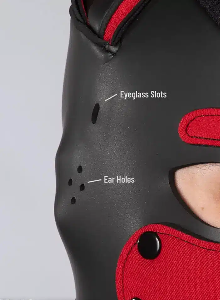 Mr. S Custom Neo K9 Hood