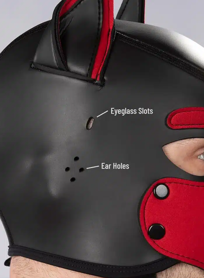 Mr. S Custom Neo K9 Hood