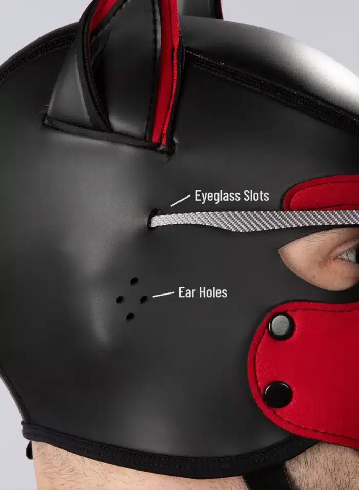 Mr. S Custom Neo K9 Hood