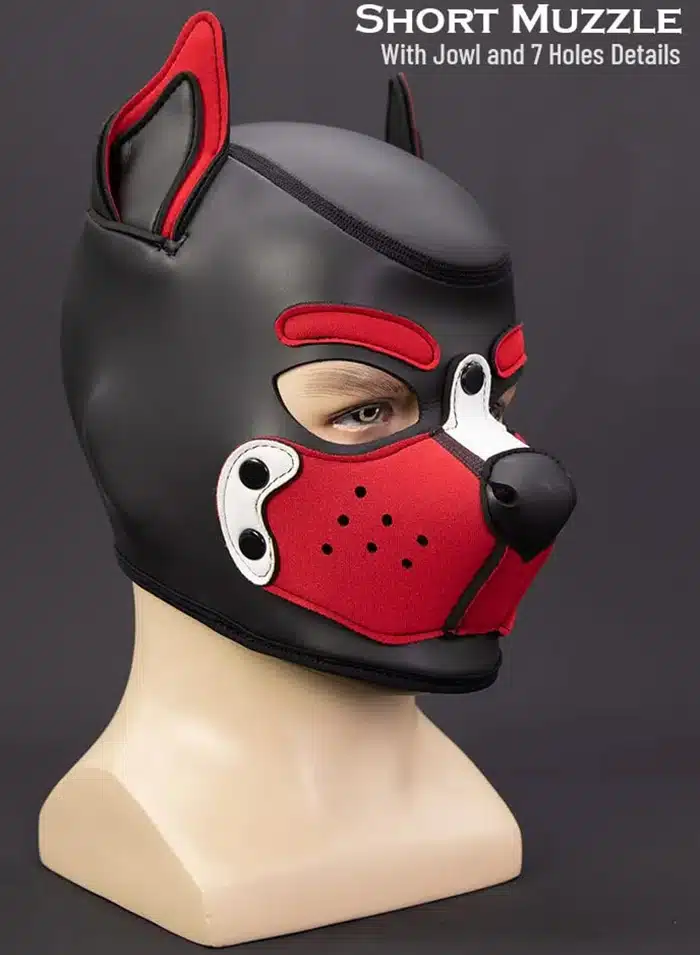 Mr. S Custom Neo K9 Hood
