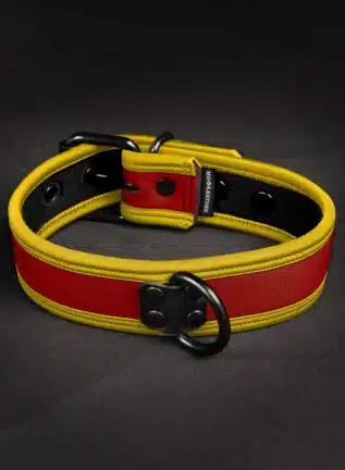 Mr. S Neoprene Puppy Collar: Custom Colors