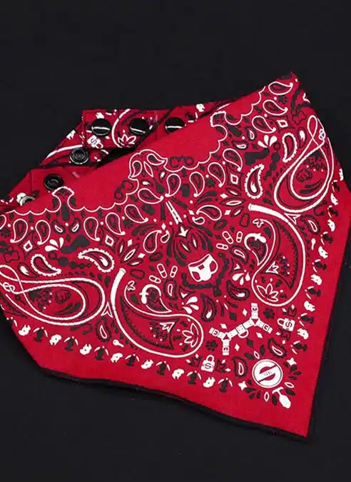 Mr. S Neck Hanky with Zipper Pocket Red