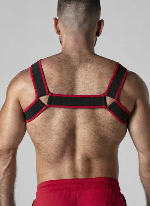 Locker Gear Mesh Chest Harness Red