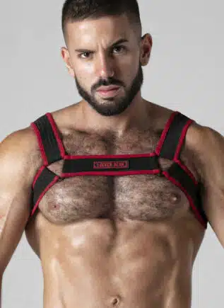 Locker Gear Mesh Chest Harness Red