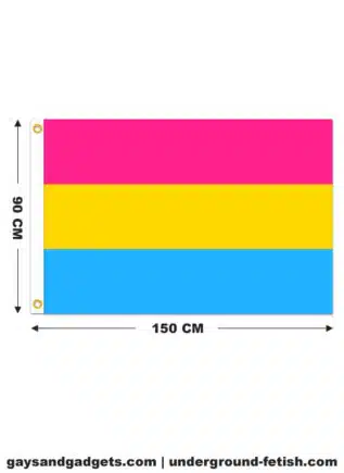 Pansexual Pride Flag Printed 90 x 150 cm