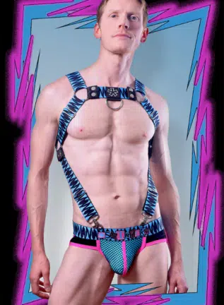 Asstricks Rough House Harness - available in two colors