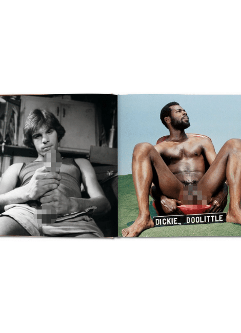 Taschen Verlag The Big Penis Book