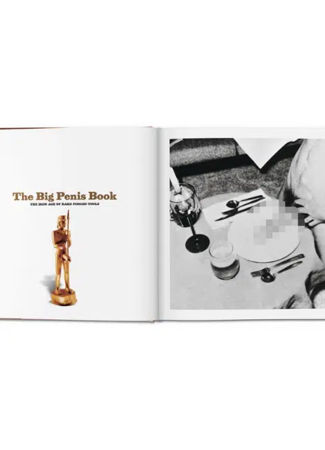 Taschen Verlag The Big Penis Book