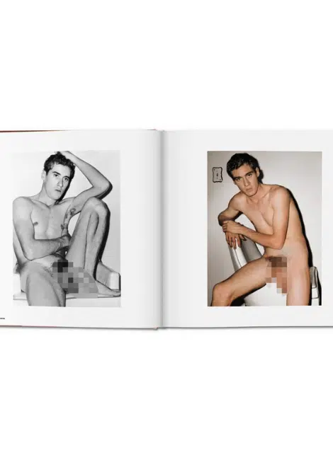 Taschen Verlag The Big Penis Book