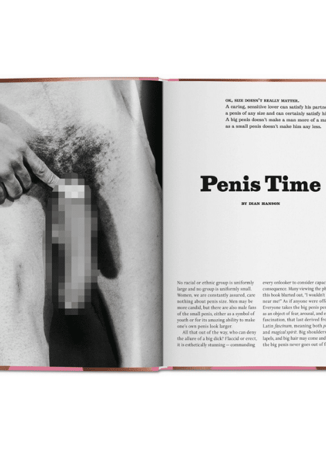 Taschen Verlag The Little Big Penis Book