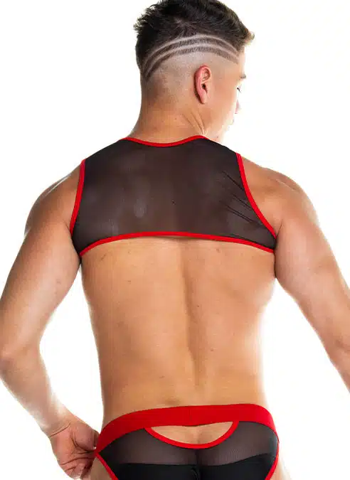 Gigo Skin Harness Red